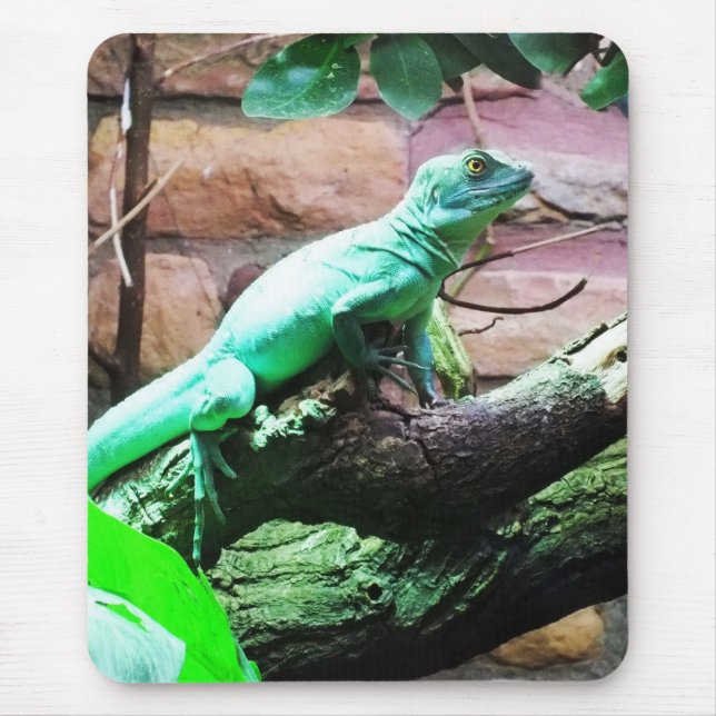 Green lizard mouse mat (Front)