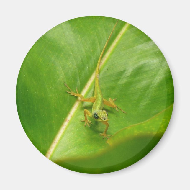Green Lizard on Green Leaf Magnet (Front)