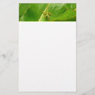 Green Lizard on Green Leaf Stationery