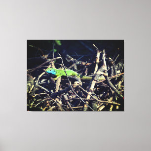 Green Lizard Stretched Canvas Print