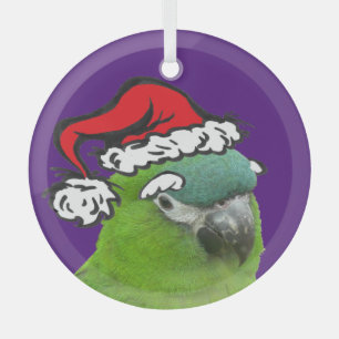 Green Lorikeet Santa Glass Ornament