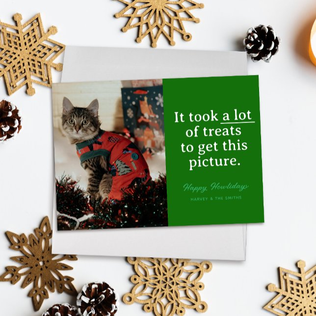 Green Lots of Treats Happy Howlidays Funny Pet Holiday Card ("It took a lot of treats to get this picture" funny holiday pet photo card, white text on green)