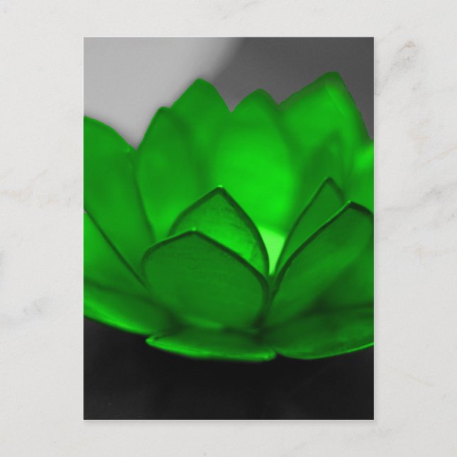 Green Lotus Postcard (Front)