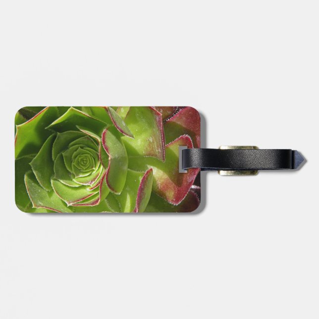 Green Luggage Tag (Back Horizontal)