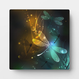 Green luminous dragonfly flight plaque