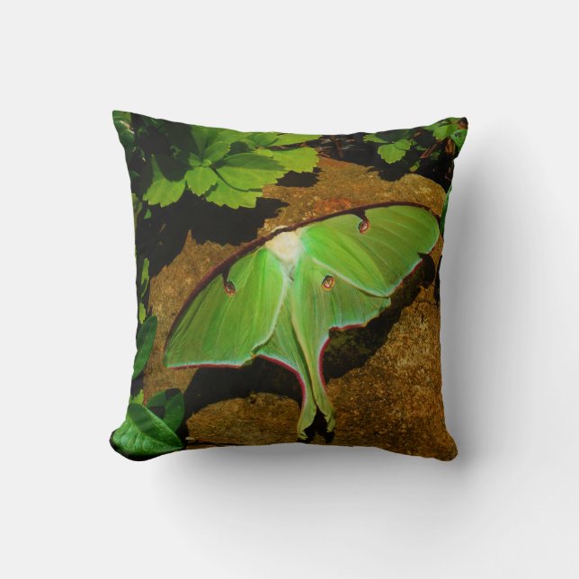 Green Luna moth Cushion (Front)