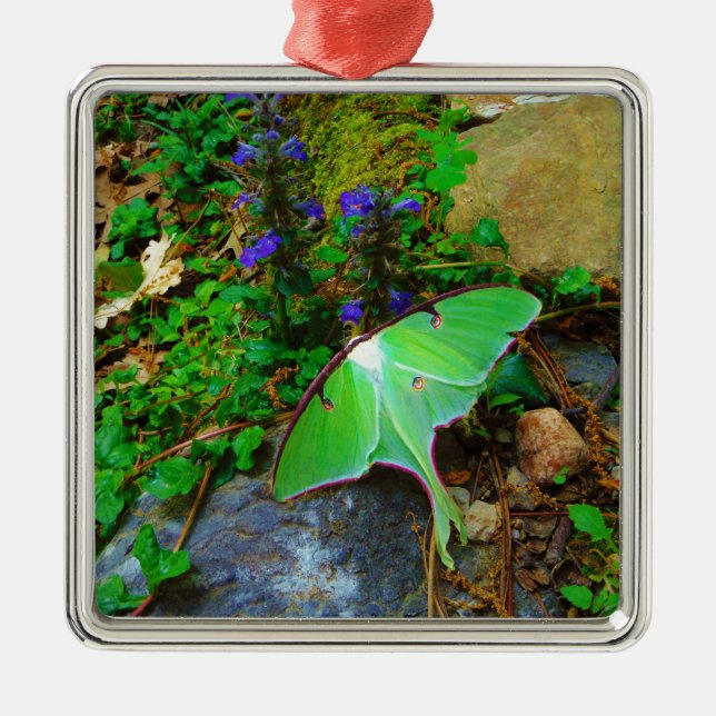 Green Luna moth Metal Tree Decoration (Front)