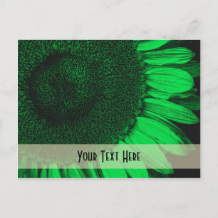 Green Macro Sunflower Floral Customisable Postcard