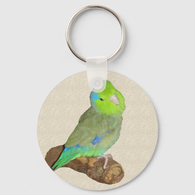 Green male parrotlet key ring (Front)