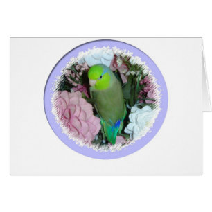 Green male parrotlet with flowers