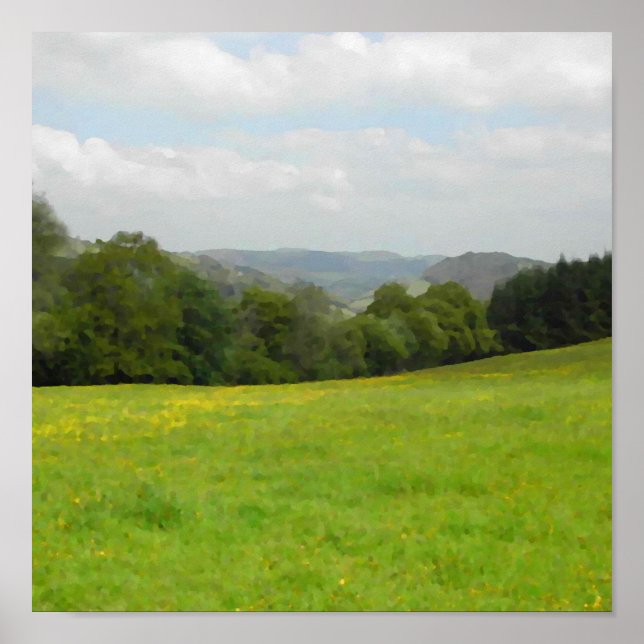 Green meadow. Countryside scenery. Poster (Front)