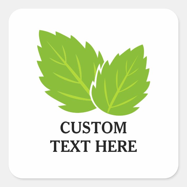 Green mint leafs drawing custom square sticker (Front)