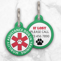 Green Mobility Assistance Service Dog In Training