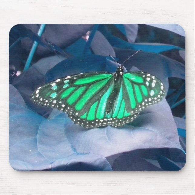 Green Monarch Butterfly mouse pad (Front)