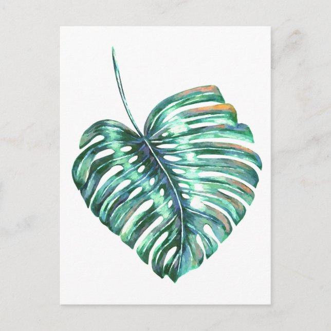Green monstera leaf palm tropical postcard (Front)