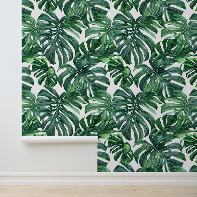 Green monstera leave pattern exotic flora wallpaper (Application)