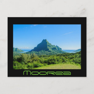 Green Moorea black text postcard