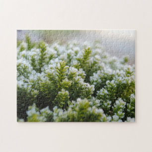 Green Moss Beautiful Frosty Autumn Plants Macro Jigsaw Puzzle