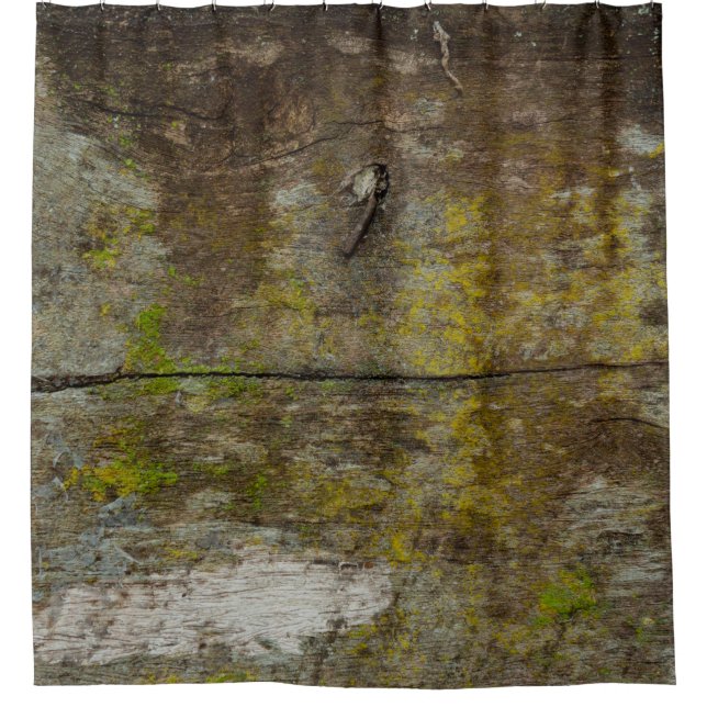 Green moss texture and background. abstract, alive shower curtain (Front)