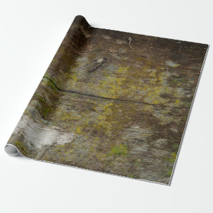 Green moss texture and background. abstract, alive wrapping paper