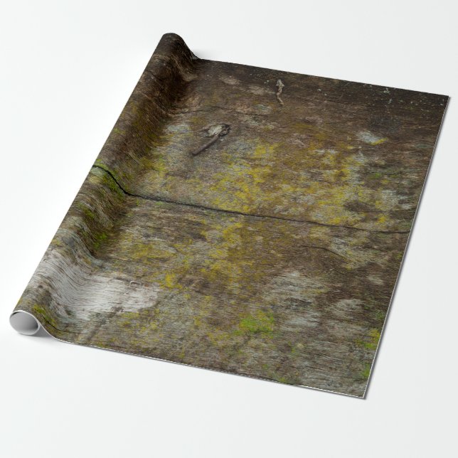 Green moss texture and background. abstract, alive wrapping paper (Unrolled)