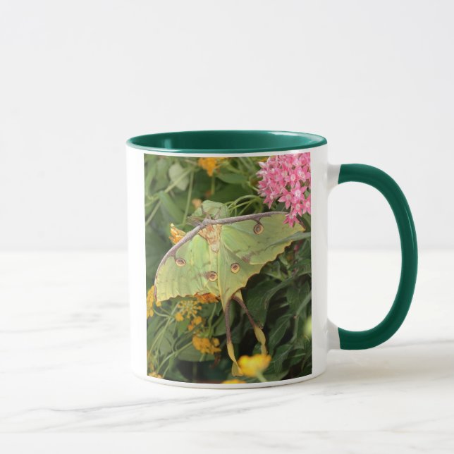 green moth mug (Right)