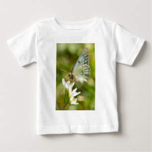 Green Moth on False Garlic Apparel and Gifts Baby T-Shirt