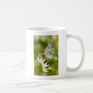 Green Moth on False Garlic Apparel and Gifts Coffee Mug