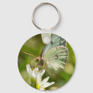 Green Moth on False Garlic Apparel and Gifts Key Ring