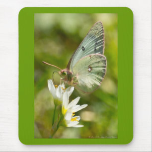 Green Moth on False Garlic Apparel and Gifts Mouse Mat