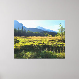 Green Mountain Meadow – Wild Nature Romania Canvas Print