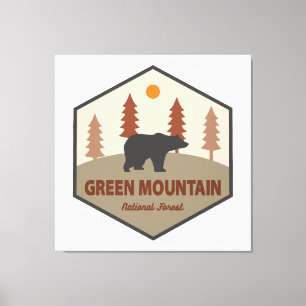Green Mountain National Forest Bear Canvas Print