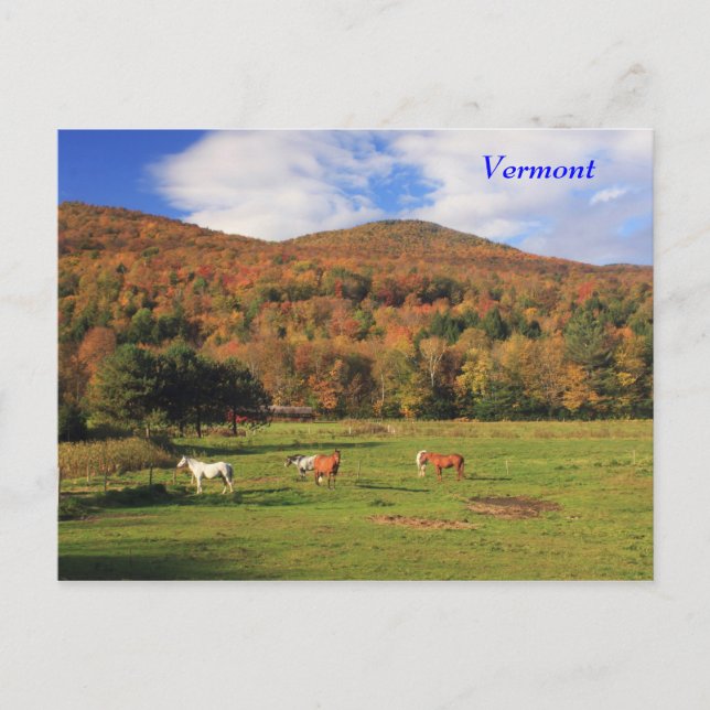 Green Mountains and Horses in Autumn Postcard (Front)