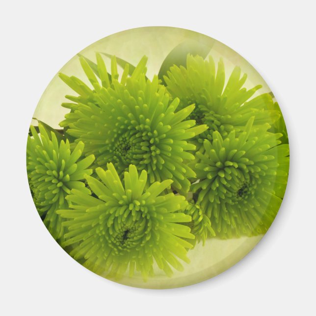 Green Mums Magnet (Front)