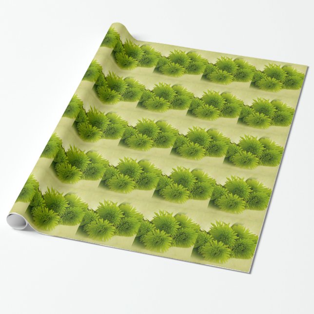 Green Mums Wrapping Paper (Unrolled)