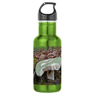Green Mushroom - Russula crusosa 532 Ml Water Bottle