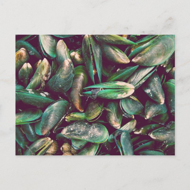 Green Mussels Postcard (Front)