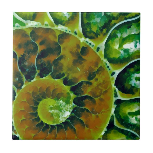 Green Nautilus Tile (Front)