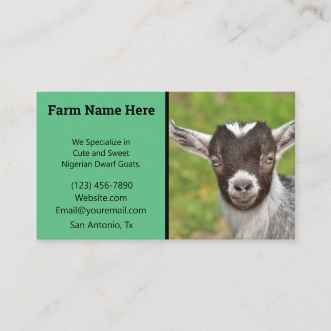 Green Nigerian Dwarf Goat Breeder Business Card (Front)