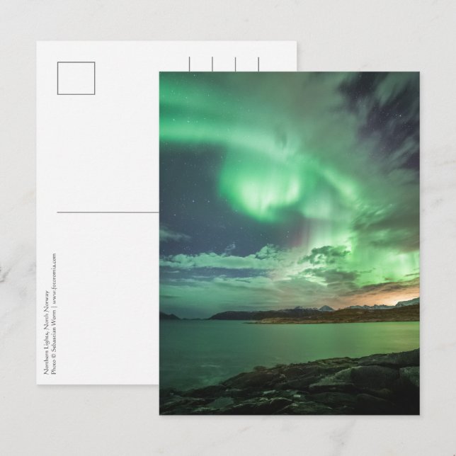 Green Northern Lights Postcard (Front/Back)