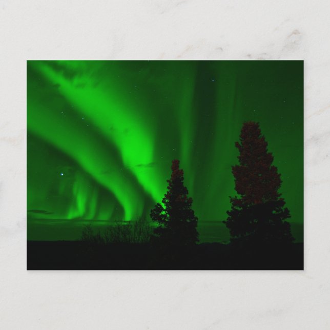 Green Northern Lights Postcard (Front)