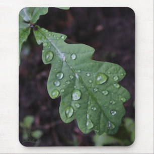 Green oak leaf in rain mouse mat