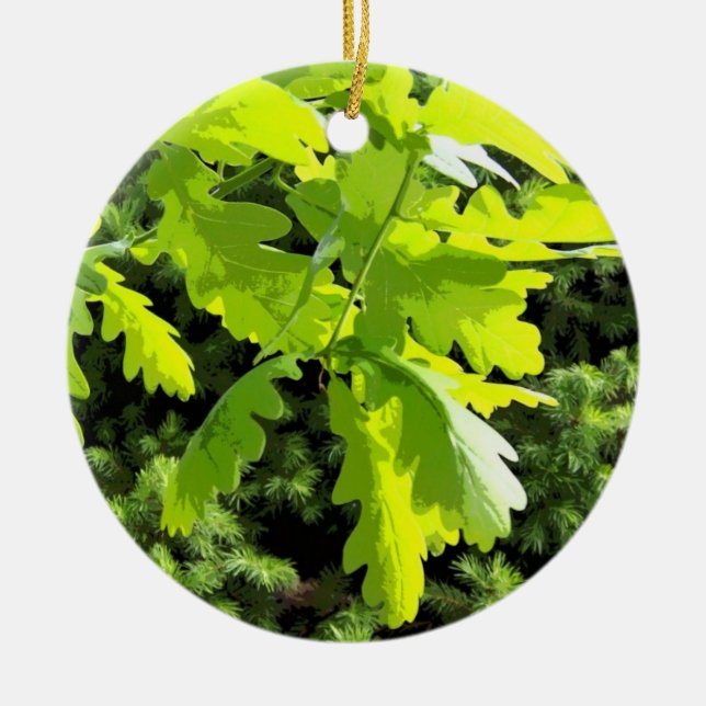 Green Oak Tree Leaves Ceramic Tree Decoration (Front)