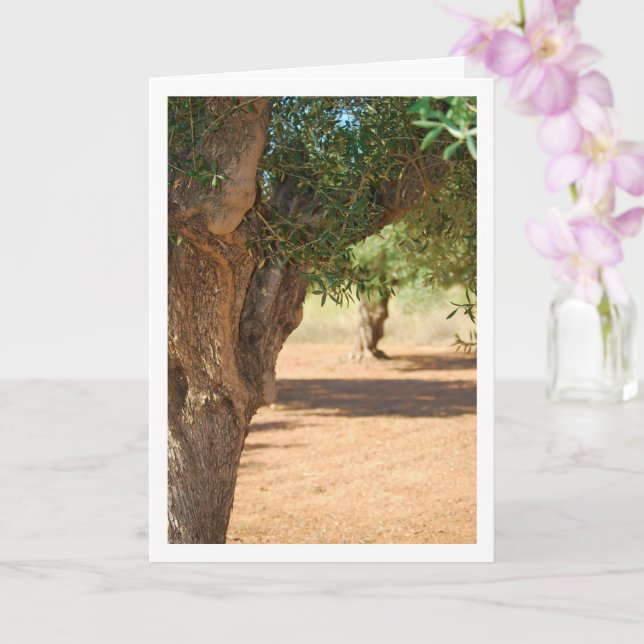 Green Olive Tree Portrait Card (Orchid)