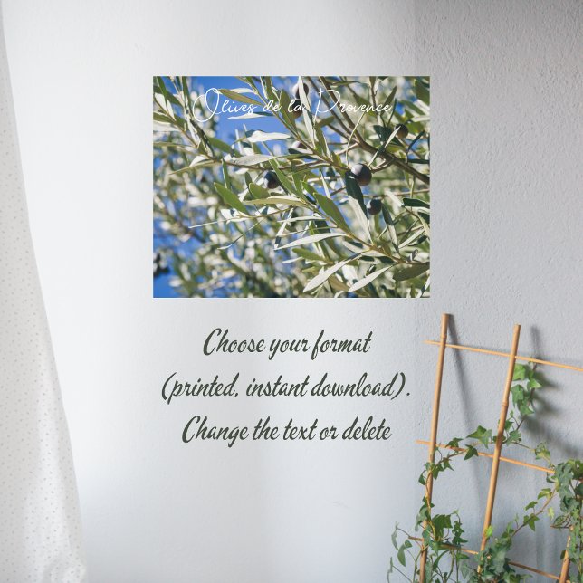 Green Olive Tree with Black Fruits Poster (Creator Uploaded)