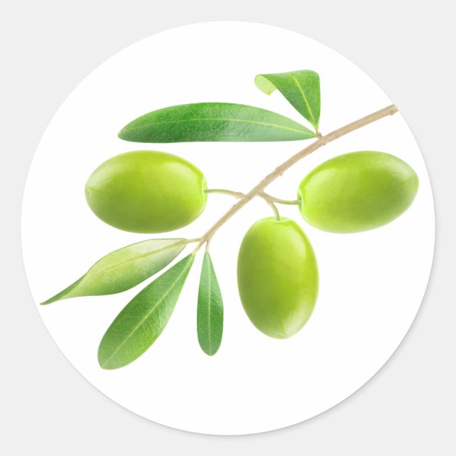 Green olives branch classic round sticker (Front)