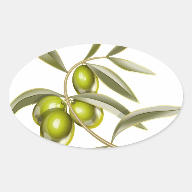 Green olives branch oval sticker (Front)
