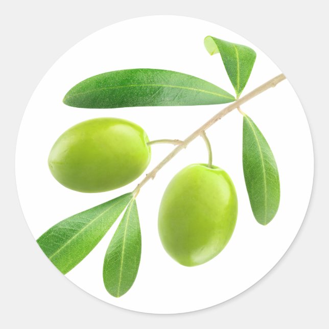 Green olives on a branch classic round sticker (Front)