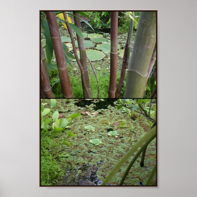 green on water poster (Front)