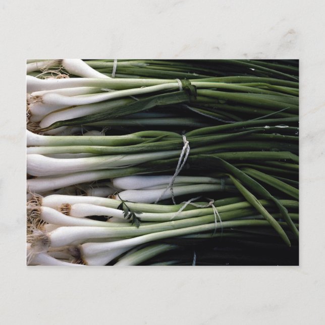 Green onions postcard (Front)